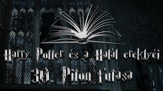 Harry Potter és a Halál ereklyéi hangoskönyv  30 fejezet [upl. by Ynehteb]