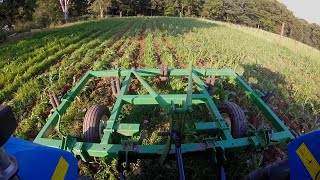 Rebuilding Oliver 543 corn planter and planting sweet corn [upl. by Johen486]