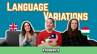 Language Variations Flowers in English Hungarian and Malay [upl. by Franck]