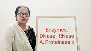 Enzymes DNase  RNase  Proteinase k [upl. by Nywles]