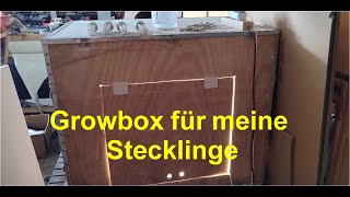 Growbox für meine Stecklinge [upl. by Rolfston48]