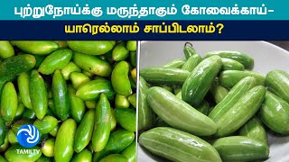 கச்சத்தீவு திருவிழா தொடர்பில் யாழ் மறைமாவட்ட குருமுதல்வர் வெளியிட்ட தகவல் [upl. by Atlanta]