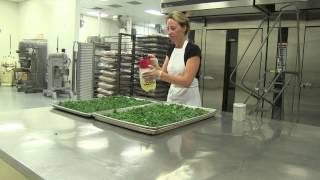 The Best Kale Chips in the WORLD [upl. by Lourdes]