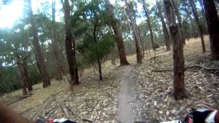 Mountain Biking at Lysterfield  Aneurysm Trail [upl. by Ellene]