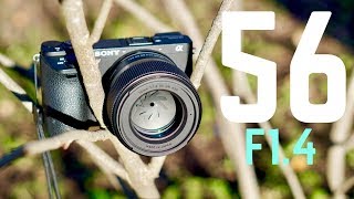 Sigma 56mm F14 Lens Review Its Perfect [upl. by Lladnyk]