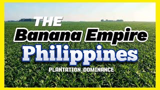 Banana Plantation Exploring the Philippines Plantation Dominance [upl. by Williamsen]