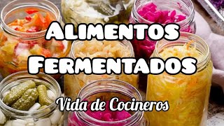 ALIMENTOS FERMENTADOS [upl. by Amethist]