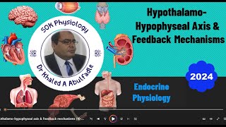 HypothalamoHypophyseal Axis amp Feedback Mechanisms 102024 by Dr Khaled A Abulfadle [upl. by Lekcim]