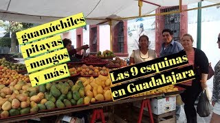 GUAMÚCHILES  PITAYAS  MANGOS  LAS 9 ESQUINAS EN GUADALAJARA  Lorena Lara [upl. by Nirual]