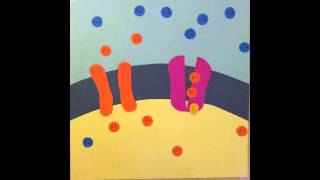 Establishing Resting Membrane Potential [upl. by Haelahk696]