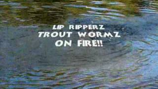 GREAT Trout Fishing at GVL using Lip RipperZ Lures [upl. by Raynard]