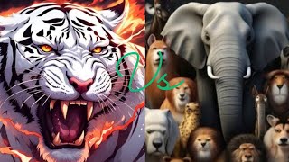 the tiger  all animal vs tiger  like and subscribe [upl. by Pirozzo]