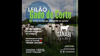 Tanabi Leilões  AO VIVO  10042024 [upl. by Enilreug]