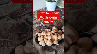 Mushroom Cleaning ASMR mushroom cleaning asmr trending shorts [upl. by Meagher]