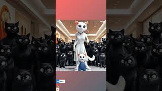 cat cat story dances wellshortshomecatanimation [upl. by Culosio]