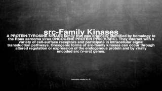 Medical vocabulary What does srcFamily Kinases mean [upl. by Navillus]