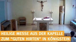 Heilige Messe live aus Königstein im Taunus  15112024 [upl. by Ahsiuq80]