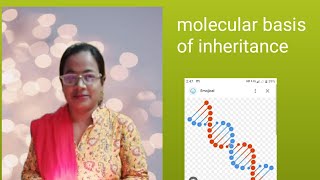 molecular basis of inheritancesikhabiologyclasses bio neet biology biologyclass12 science [upl. by Faria]