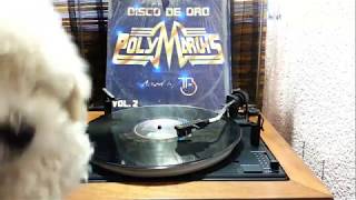 Polymarchs Disco de Oro Vol 2 Lado A [upl. by Pownall]