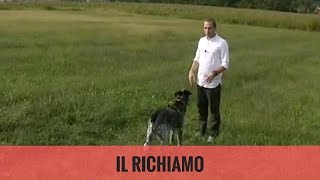 Il richiamo [upl. by Lauritz]