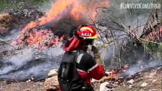 Trailer largo  Documental de Incendios Forestales Conviviendo con el fuego [upl. by Atnahs469]