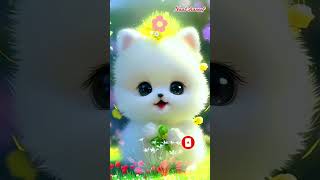 Be Deeno Ne KalmaPdha  LaElaha El Lallah  cute  cat  Naat shareef  Shorts video  Reels CAT [upl. by Groos68]