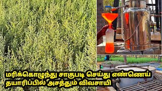 தவனம் விவசாயம் செய்து எண்ணெய் தயாரிப்பில் அதிக லாபம்  davanam cultivation in tamil  marikolunthu [upl. by Thgiwed813]