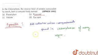 In the Chlorophyta the reserve food of protein surrounded by starch form a compact body termed [upl. by Attelrak]