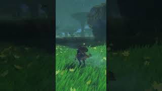 BOTW Zelda Hunting Thunderwing Butterfly Electric Darner Thundra Plateau [upl. by Garrick]