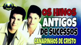 os canarinhos de cristo [upl. by Meeharb911]