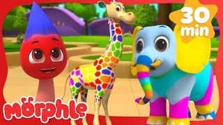 Morphle the Paintbrush Coloring the City  Morphle TV shorts  Fun Kids Cartoon [upl. by Kimbell]