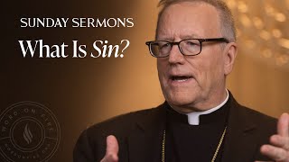 What Is Sin  Bishop Barrons Sunday Sermon [upl. by Yahsal526]