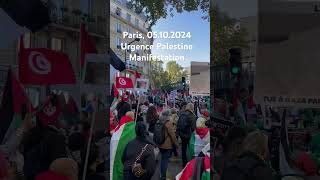 Urgence Palestine Manifestation Paris 05102024 [upl. by Eeralih651]