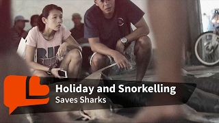 For Sharks’ Sake Take a Vacation Warning Graphic Content in First 30 Seconds [upl. by Kaela980]