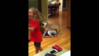 5 Year Old Gets Humped By A Dog [upl. by Alac]