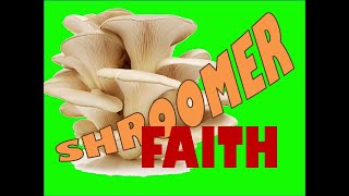 Shroomer Faith [upl. by Towland]