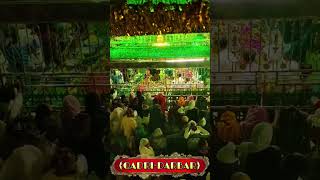 Hazrat Peer Musa Qadri Sarkar 🥹🫀 [upl. by Elleynad]