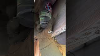 Removing a Wasps Nest With Gas [upl. by Soni]