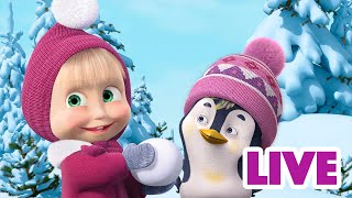 ماشا والدب 👱‍♀️🐻 الذهاب إلى الصيد 🐋 مجموعة 47 ⏱ 30 دقيقة 🎬 Masha and the Bear [upl. by Ardnaeed605]