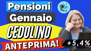 PENSIONI 👉 ANTEPRIMA CEDOLINO GENNAIO CON AUMENTI e altro❗️Ecco cosa conterrà [upl. by Mixie106]