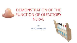 Demonstration of function of olfactory nerve [upl. by Ailehs231]