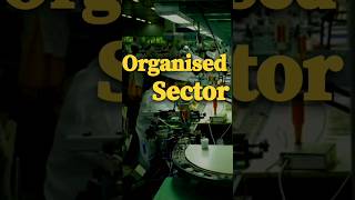 Organised sector  Sectors of Indian Economy class10 economics viralshorts [upl. by Yttam]