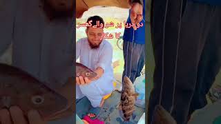 do darya par show waly gissar Ka shikar shuru grouper fishfishing fish pk dandiyafishing🐟 [upl. by Riabuz]