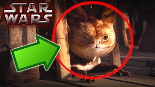 LOTHCATS Canon  Star Wars Explained [upl. by Aubarta]