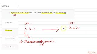 Pyruvic acid is formed during [upl. by Nodababus]