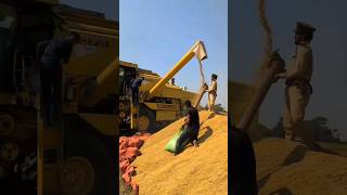 New Holland Combine Harvester combine harvester combineharvester shorts [upl. by Peale]