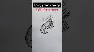 🌏Easily prawn drawing🦐 shorts prawn biology foryou [upl. by Gersham]