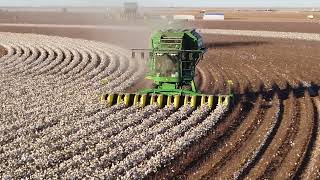 2023 Texas Cotton Harvest in Cone Texas USA [upl. by Weathers436]