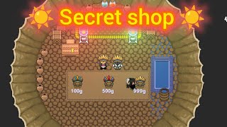 graal online classic summer fest secret shop [upl. by Sakiv696]