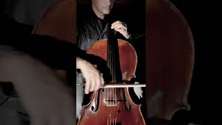 Vivaldi Winter Linverno II Largo Cello [upl. by Ocirederf605]